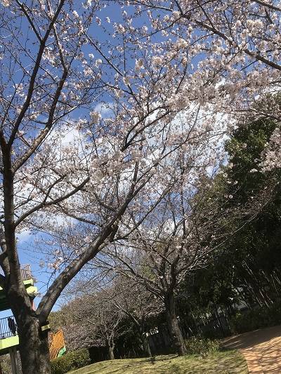 f:id:pop-ran:20190401230926j:plain