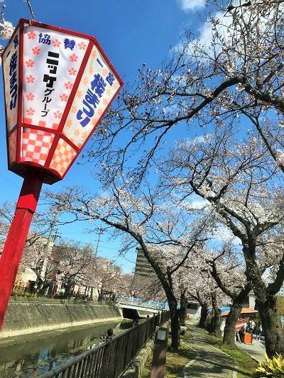 f:id:pop-ran:20190401233203j:plain