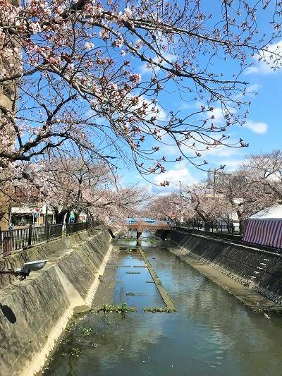 f:id:pop-ran:20190401233227j:plain