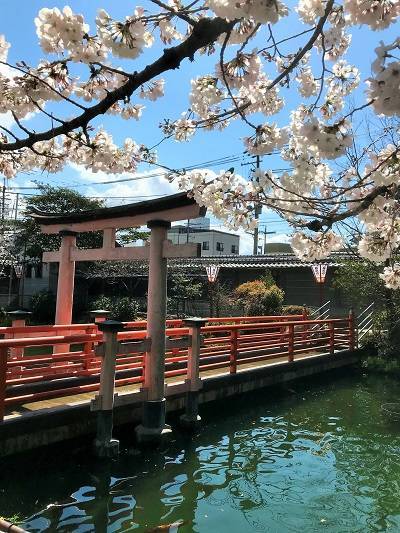 f:id:pop-ran:20190401233538j:plain