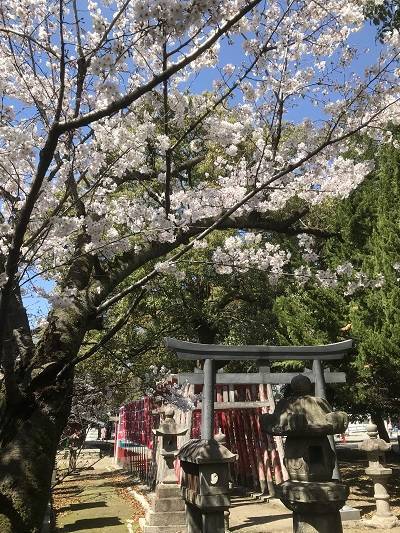 f:id:pop-ran:20190401234236j:plain