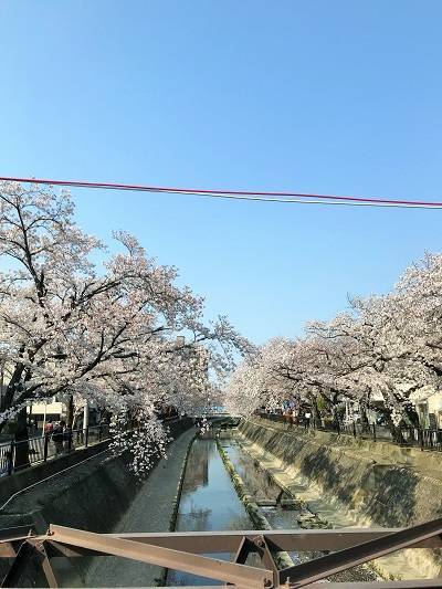 f:id:pop-ran:20190406223456j:plain