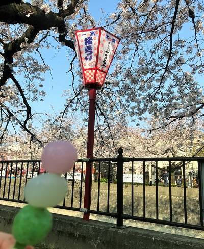 f:id:pop-ran:20190406223722j:plain