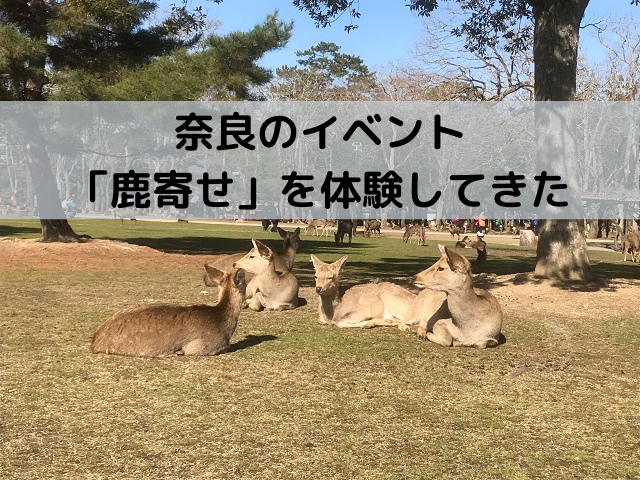 f:id:pop-ran:20200212155526p:plain