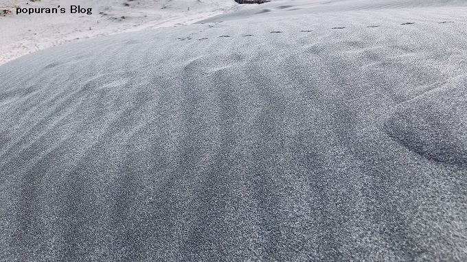 f:id:pop-ran:20200223162118j:plain