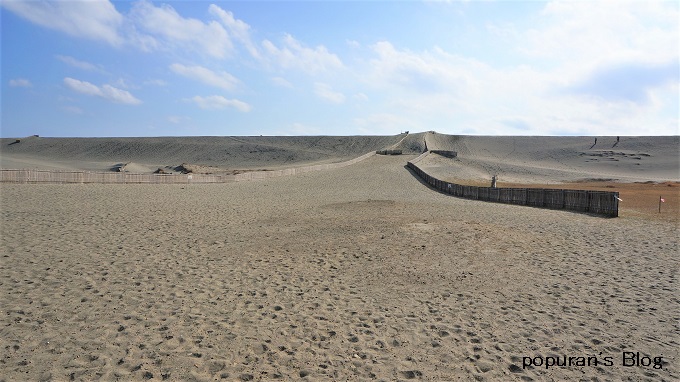 f:id:pop-ran:20200223163317j:plain