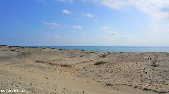 f:id:pop-ran:20200223184948j:plain