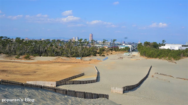 f:id:pop-ran:20200223185528j:plain