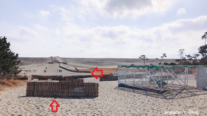 f:id:pop-ran:20200223190849j:plain