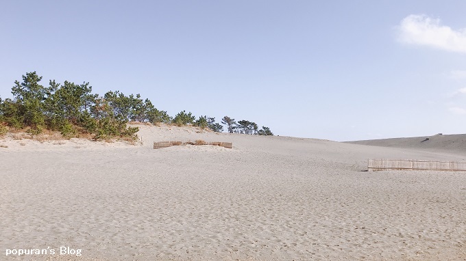 f:id:pop-ran:20200223200401j:plain