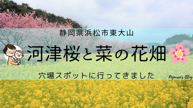 f:id:pop-ran:20200225231523p:plain