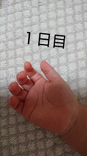 f:id:popainotaoru:20190908141321j:plain