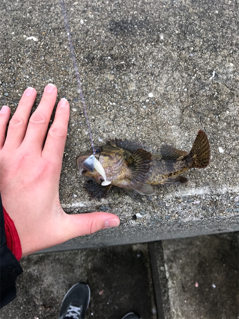 f:id:popapamk:20180409232706j:image