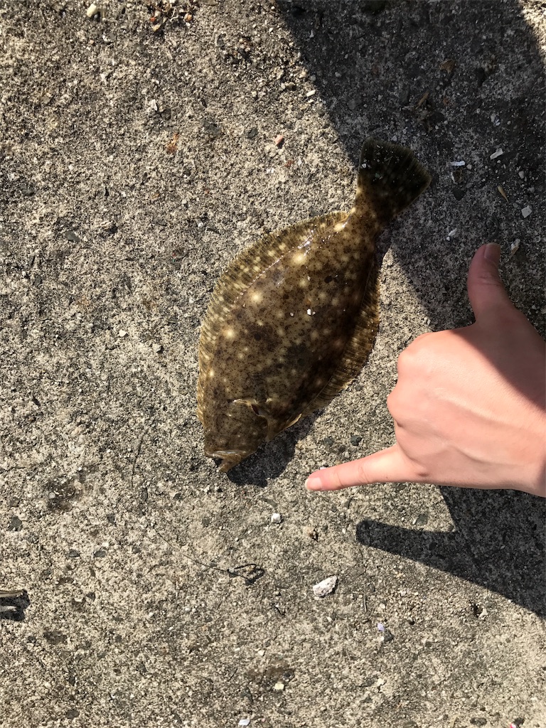 f:id:popapamk:20180409232835j:image