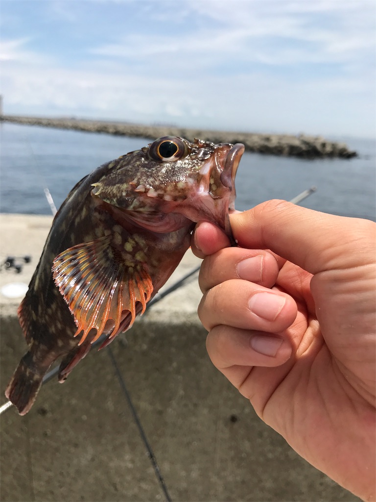 f:id:popapamk:20180410220105j:image