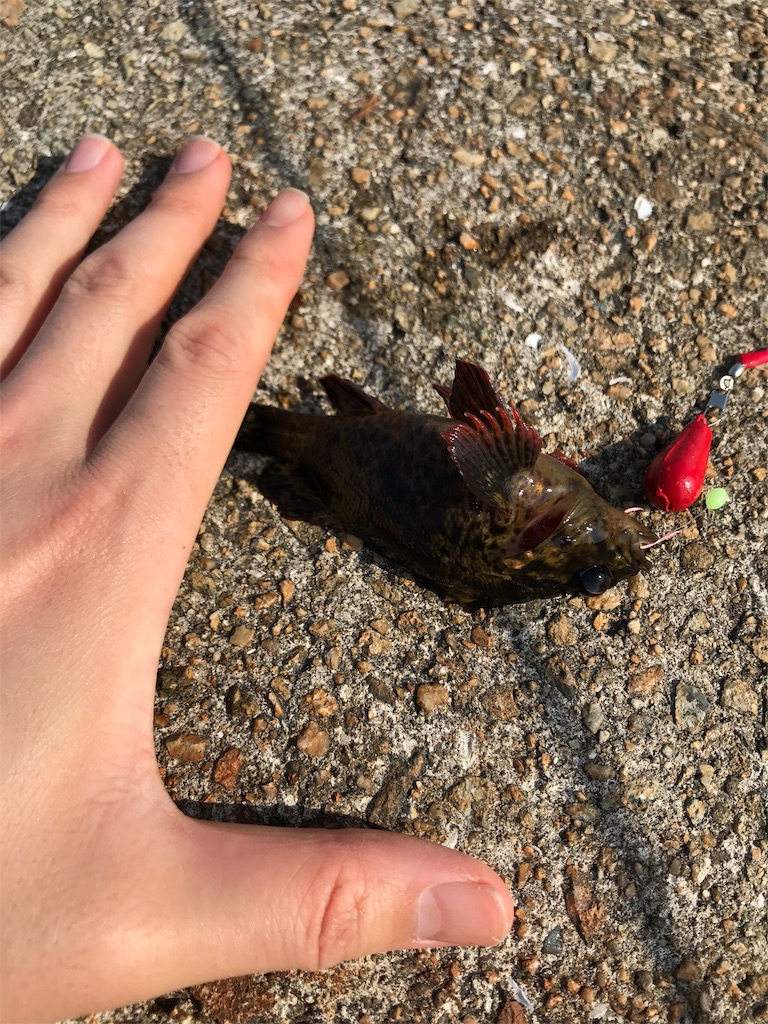 f:id:popapamk:20180506195925j:image