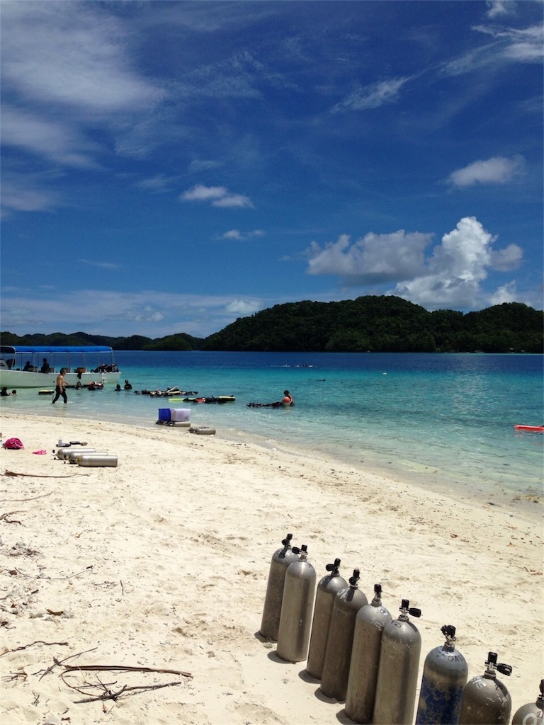 f:id:popapamk:20180520204613j:image