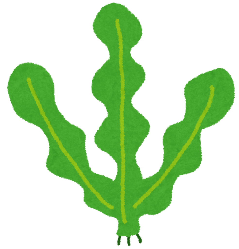 f:id:popapamk:20180716235256p:image