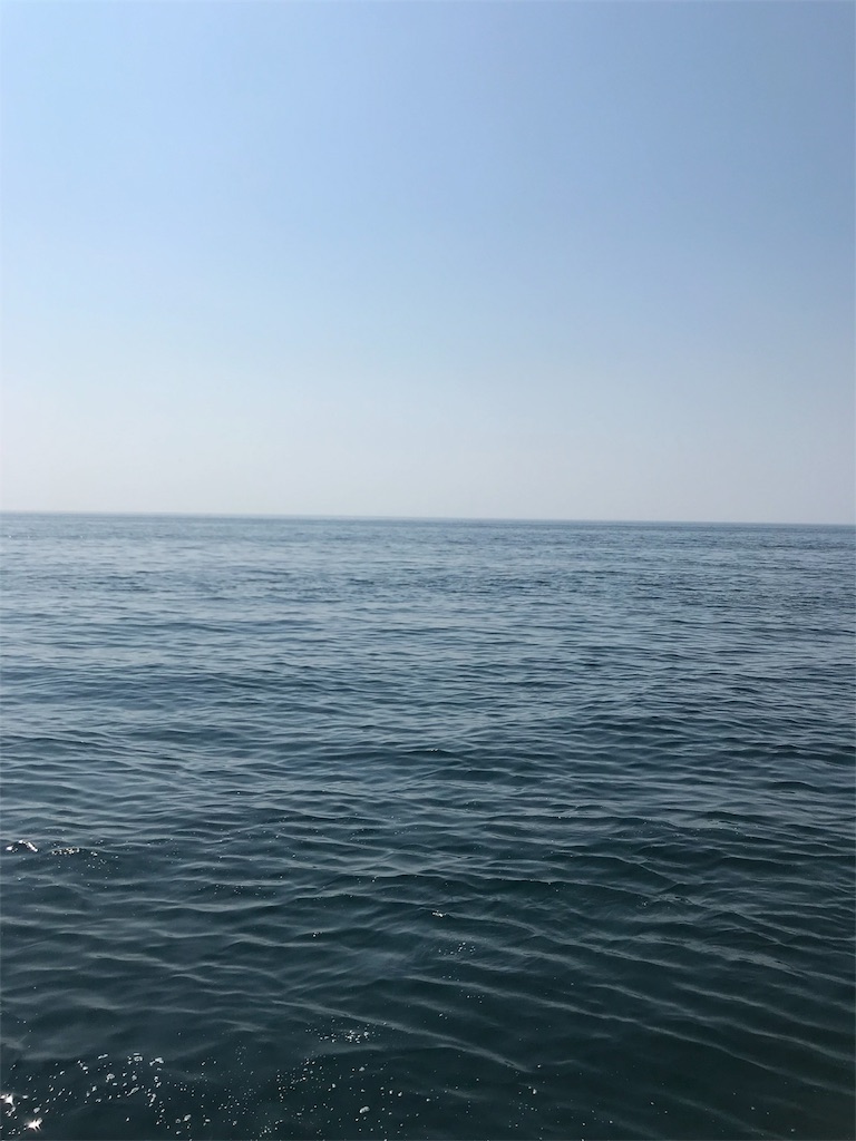 f:id:popapamk:20180717143936j:image f:id:popapamk:20180717143936j:image