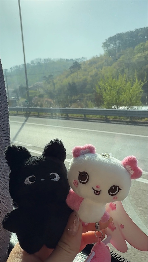 f:id:popcorn_maruko123:20260820062427j:image