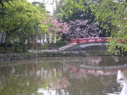 f:id:popdrop:20060419141556j:image