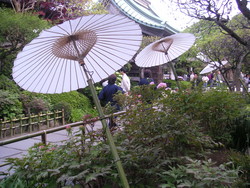 f:id:popdrop:20060419162631j:image