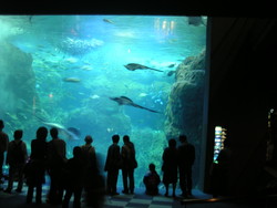 f:id:popdrop:20060420112054j:image