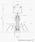 T4 bacteriophage