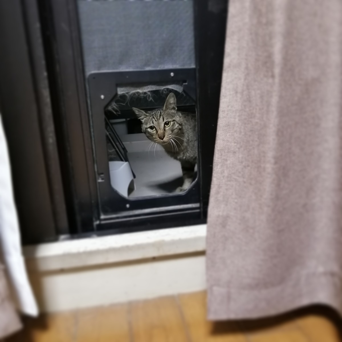 キリンジとは 音楽の人気 最新記事を集めました はてな