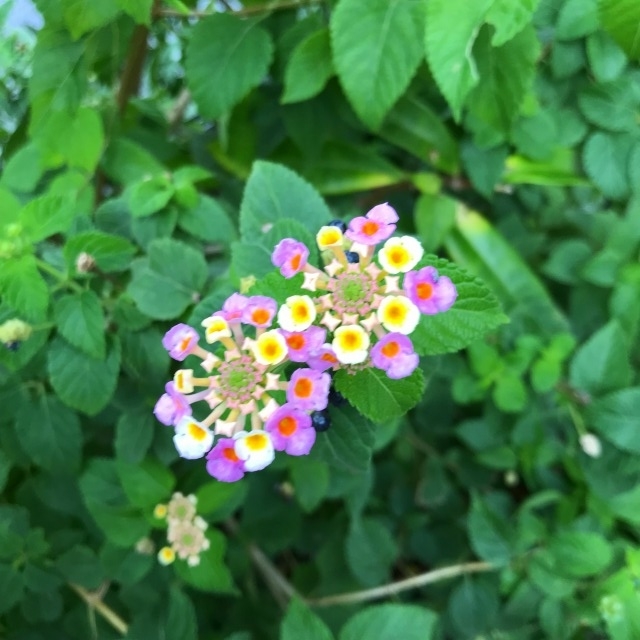 f:id:popken:20190815152909j:plain f:id:popken:20190815152909j:plain