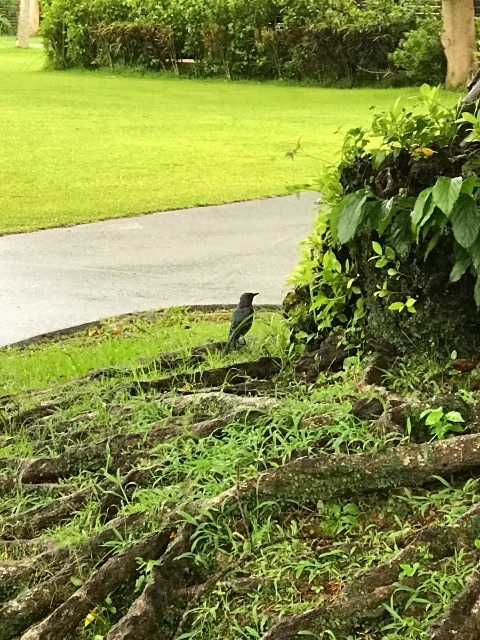 f:id:popken:20190815160937j:plain f:id:popken:20190815160937j:plain