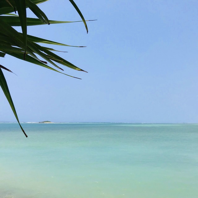 f:id:popken:20190815163514j:plain f:id:popken:20190815163514j:plain