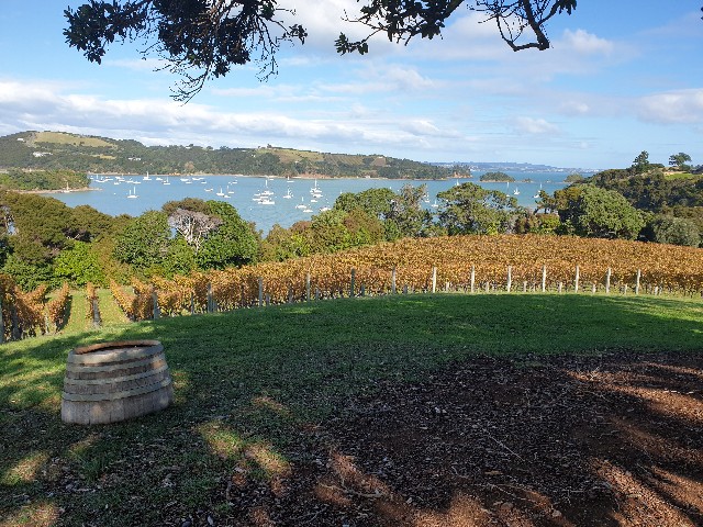 ワイヘケ島ニュージーランド ワイヘケ島ニュージーランド