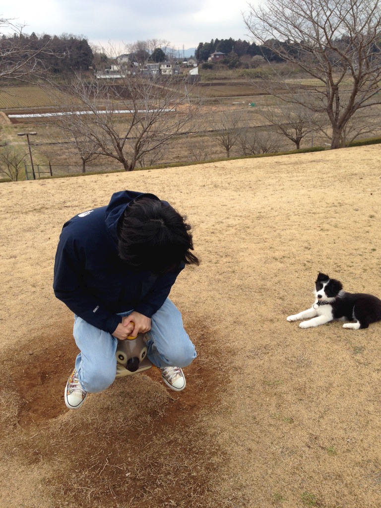f:id:popo330tama:20160412180049j:image f:id:popo330tama:20160412180049j:image
