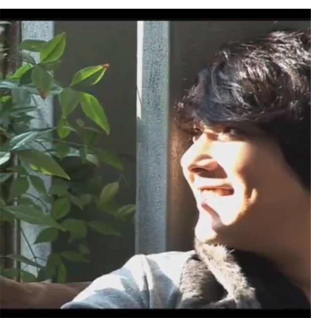 f:id:popo48:20200306215832j:image