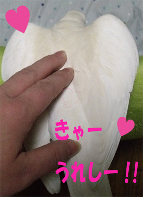 f:id:popo_gin:20120209180955j:image