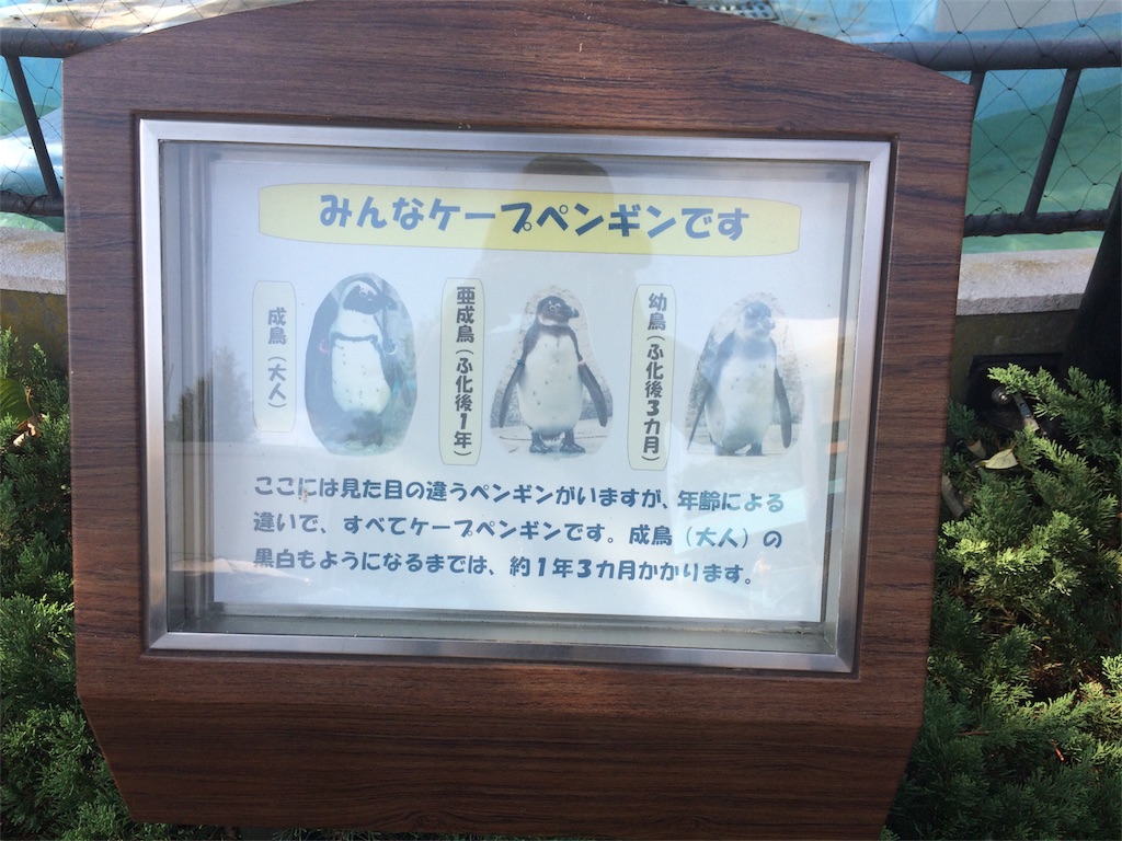 f:id:popocoring:20171013135459j:image f:id:popocoring:20171013135459j:image