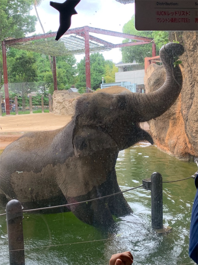 f:id:popocoring:20190627105146j:image f:id:popocoring:20190627105146j:image