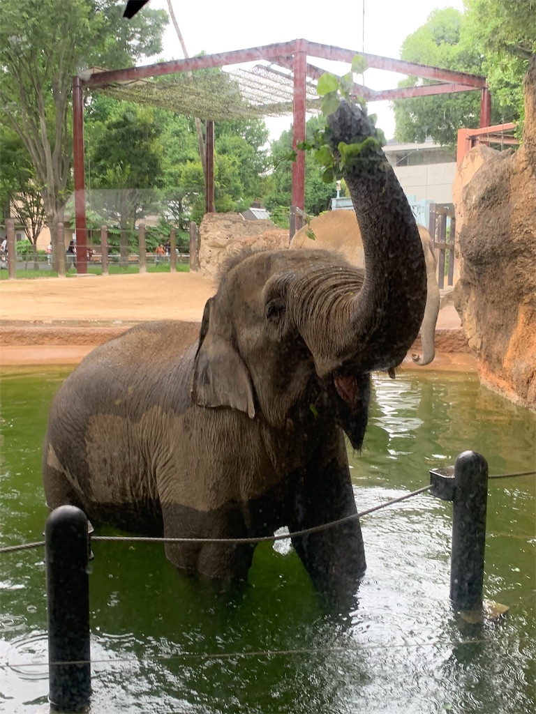 f:id:popocoring:20190627105150j:image f:id:popocoring:20190627105150j:image