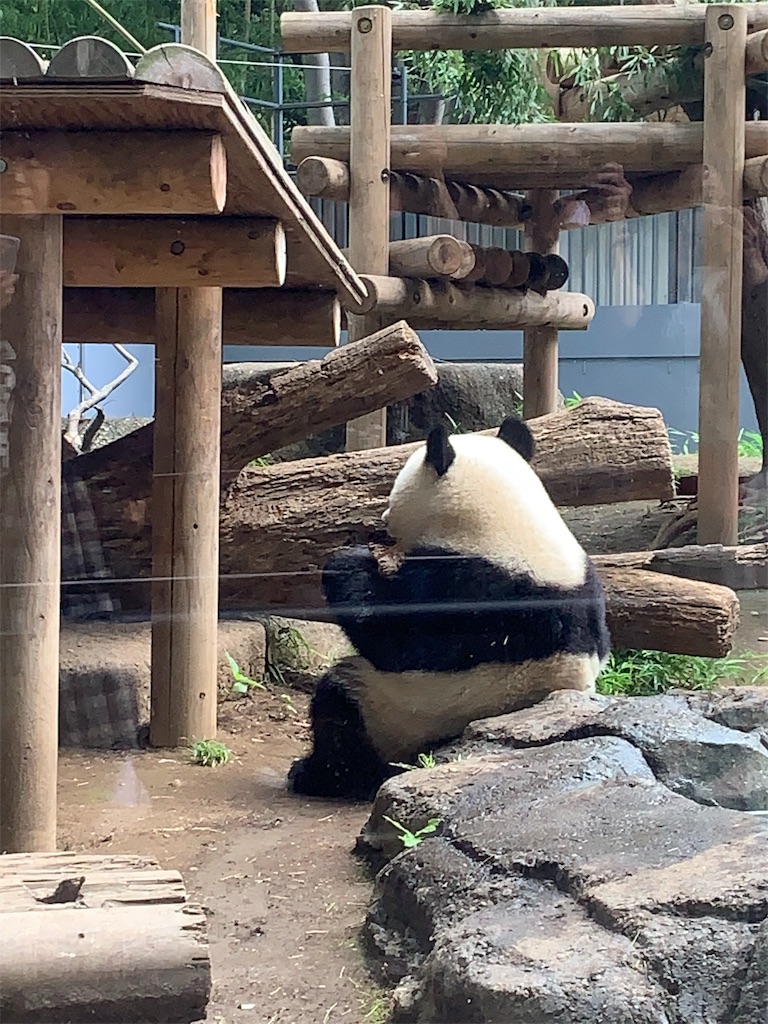 f:id:popocoring:20190627105210j:image f:id:popocoring:20190627105210j:image