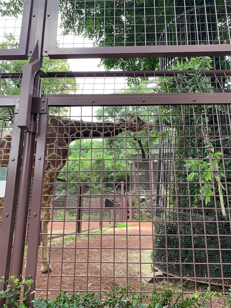 f:id:popocoring:20190627105214j:image f:id:popocoring:20190627105214j:image