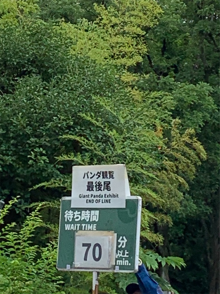 f:id:popocoring:20190627105221j:image f:id:popocoring:20190627105221j:image