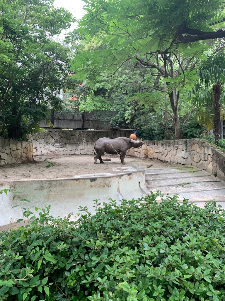 f:id:popocoring:20190627105234j:image f:id:popocoring:20190627105234j:image