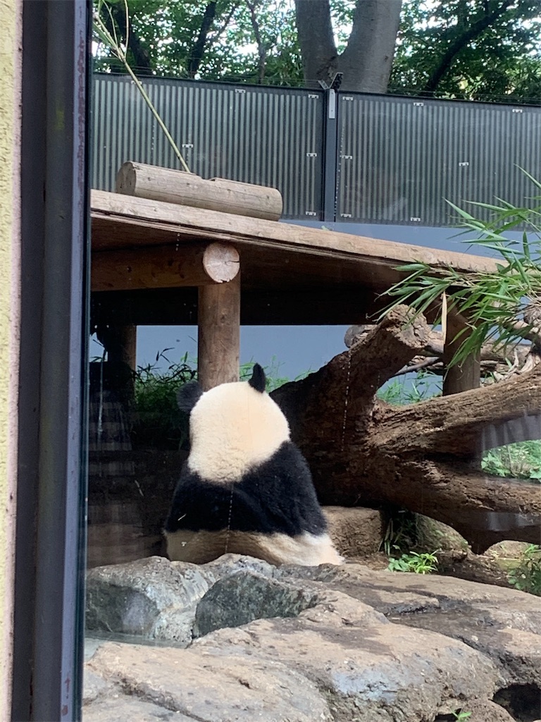 f:id:popocoring:20190627105241j:image f:id:popocoring:20190627105241j:image