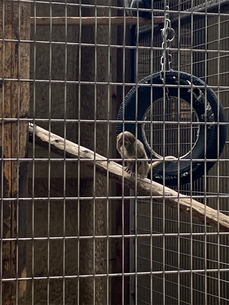 f:id:popocoring:20190627105253j:image f:id:popocoring:20190627105253j:image