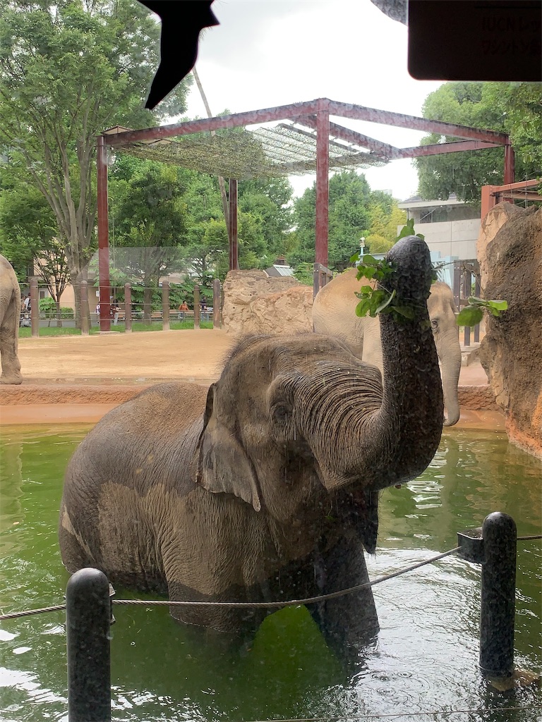 f:id:popocoring:20190627105306j:image f:id:popocoring:20190627105306j:image