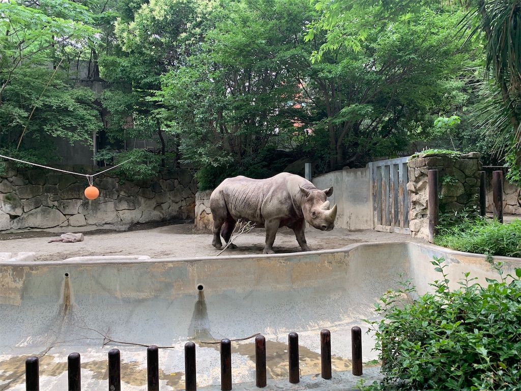 f:id:popocoring:20190627105317j:image f:id:popocoring:20190627105317j:image