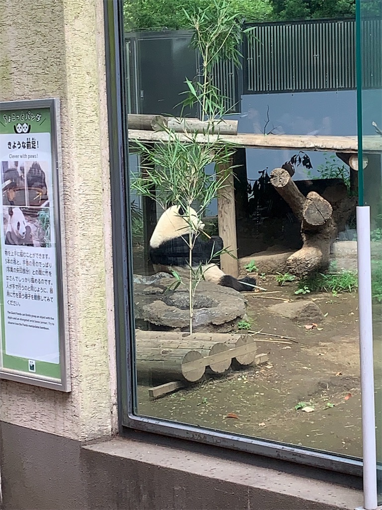 f:id:popocoring:20190627105332j:image f:id:popocoring:20190627105332j:image