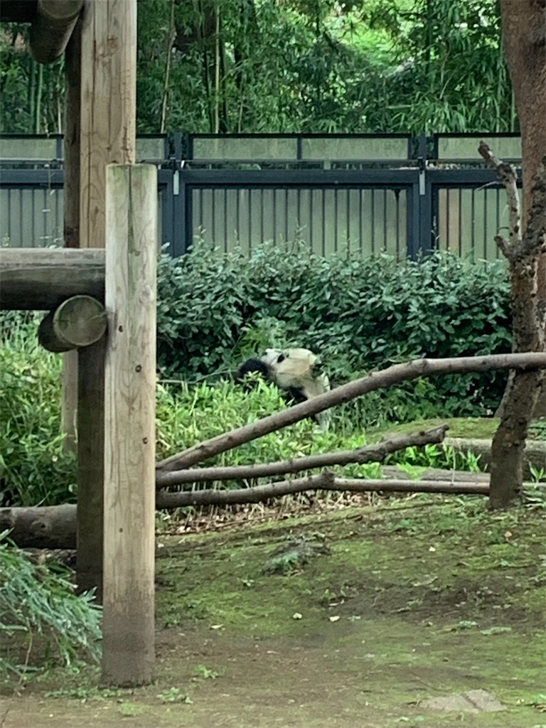 f:id:popocoring:20190627105335j:image f:id:popocoring:20190627105335j:image