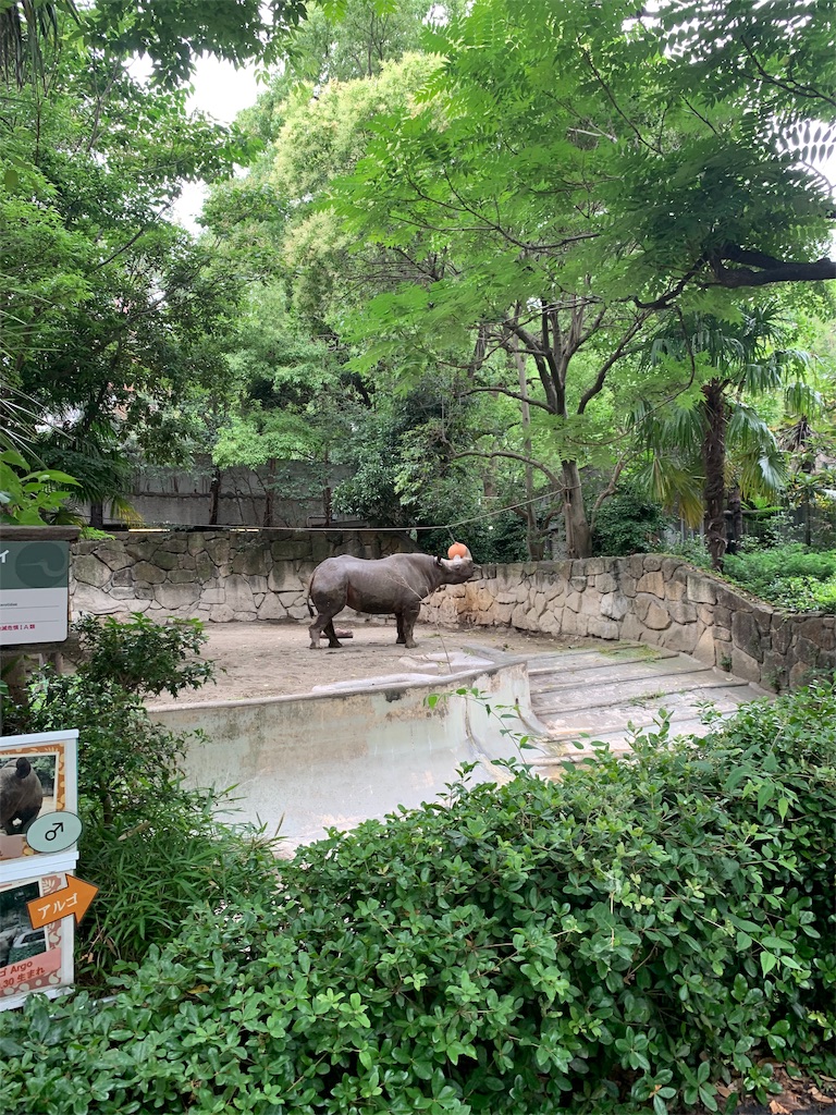 f:id:popocoring:20190627105339j:image f:id:popocoring:20190627105339j:image